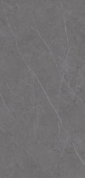 Xlight Liem Premium Grey Polished 120x250