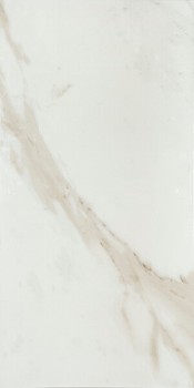 Zirconio CA Marmo Polished Gold 60x120