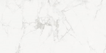 Полированный Absolut Gres Керамогранит AB 1118G Phantom Bianco gloss 1200х600 — фото 4
