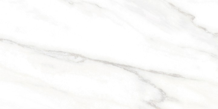 Настенная Alma Ceramica TWU2550EPH04 плитка облицовочная Euphoria 24.9х50 — фото 3
