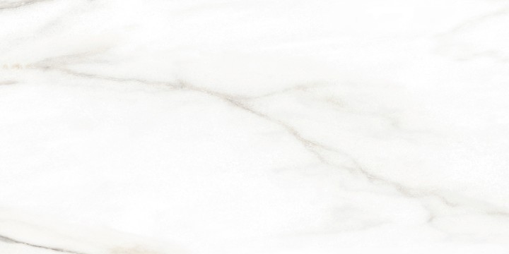 Настенная Alma Ceramica TWU2550EPH04 плитка облицовочная Euphoria 24.9х50 — фото 4