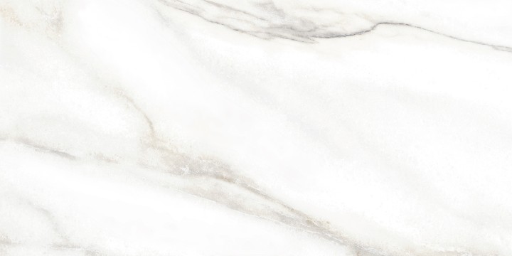 Настенная Alma Ceramica TWU2550EPH04 плитка облицовочная Euphoria 24.9х50 — фото 6