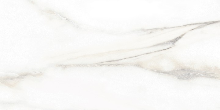 Настенная Alma Ceramica TWU2550EPH04 плитка облицовочная Euphoria 24.9х50 — фото 7