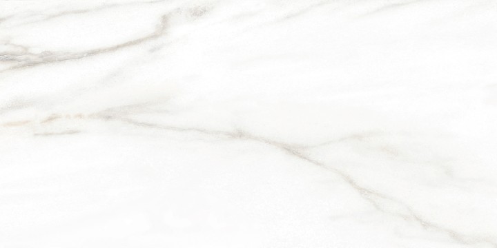 Настенная Alma Ceramica TWU2550EPH04 плитка облицовочная Euphoria 24.9х50 — фото 8