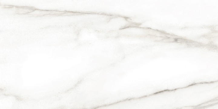 Настенная Alma Ceramica TWU2550EPH04 плитка облицовочная Euphoria 24.9х50 — фото 10