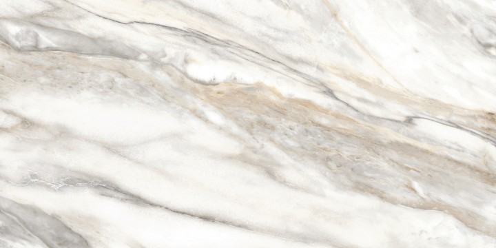 Настенная Alma Ceramica TWU2550EPH74 плитка облицовочная Euphoria 24.9х50 — фото 4