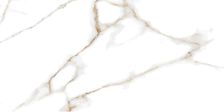 Матовый Alma Ceramica Керамогранит GFA114ECL04R Extra Calacatta 114х57 — фото 12