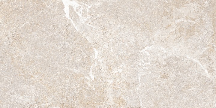 Настенная Alma Ceramica TWU2550PRS40 плитка облицовочная Persey 24.9х50 — фото 13