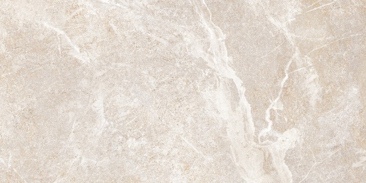 Настенная Alma Ceramica TWU2550PRS40 плитка облицовочная Persey 24.9х50 — фото 6