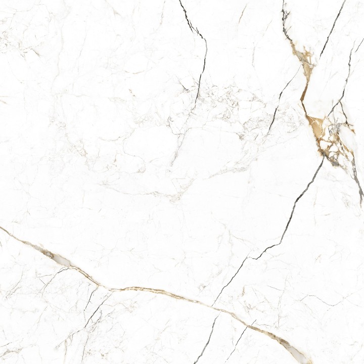 Alma Ceramica Керамогранит GFU6060RKL04R Rock Line матовый 600х600x9 — фото 14