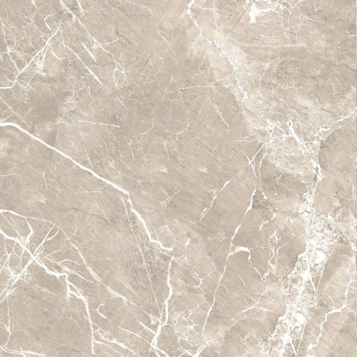 Матовый Alma Ceramica Керамогранит GFU04IMP04R Imperiale Marble 60х60 — фото 9