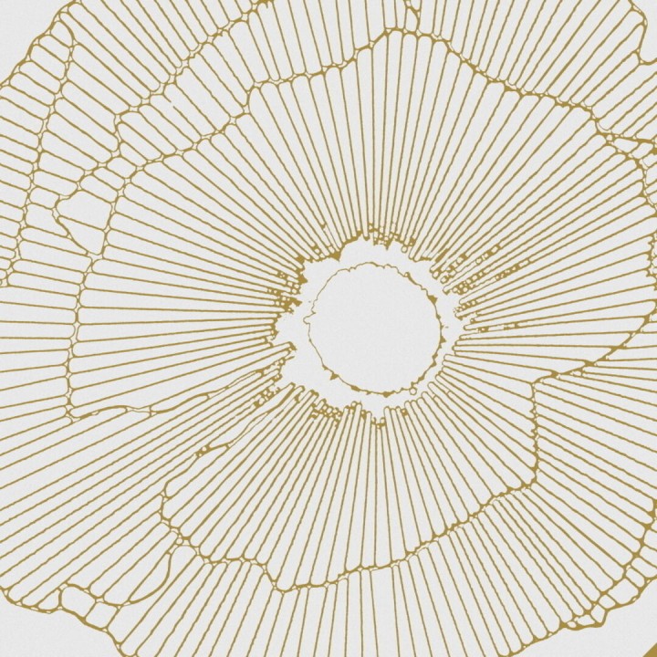 Напольная Aparici  Art-Deco White Spritz Natural 29,75x29,75 — фото 3