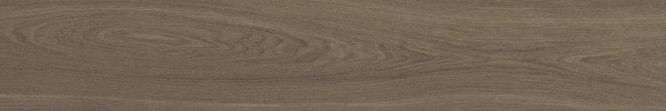 Матовый APE Ceramica Authentic Roman Rect 25x150 — фото 15