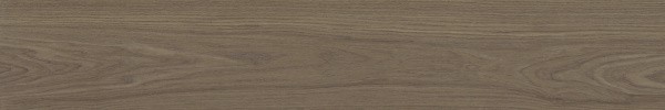 Матовый APE Ceramica Authentic Roman Rect 25x150 — фото 4
