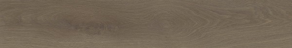 Матовый APE Ceramica Authentic Roman Rect 25x150 — фото 5