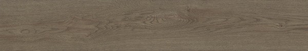 Матовый APE Ceramica Authentic Roman Rect 25x150 — фото 9