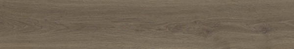 Матовый APE Ceramica Authentic Roman Rect 25x150 — фото 10