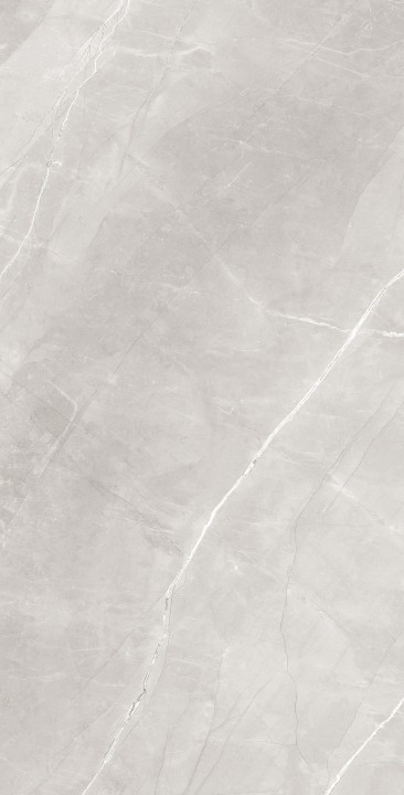Матовый Arcadia Ceramica ARMANI SILVER 60х120 — фото 2