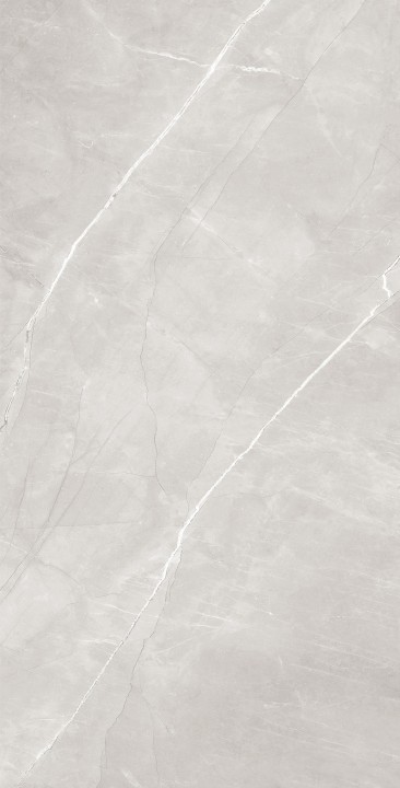 Матовый Arcadia Ceramica ARMANI SILVER 60х120 — фото 3