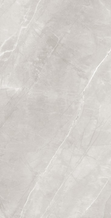 Матовый Arcadia Ceramica ARMANI SILVER 60х120 — фото 4