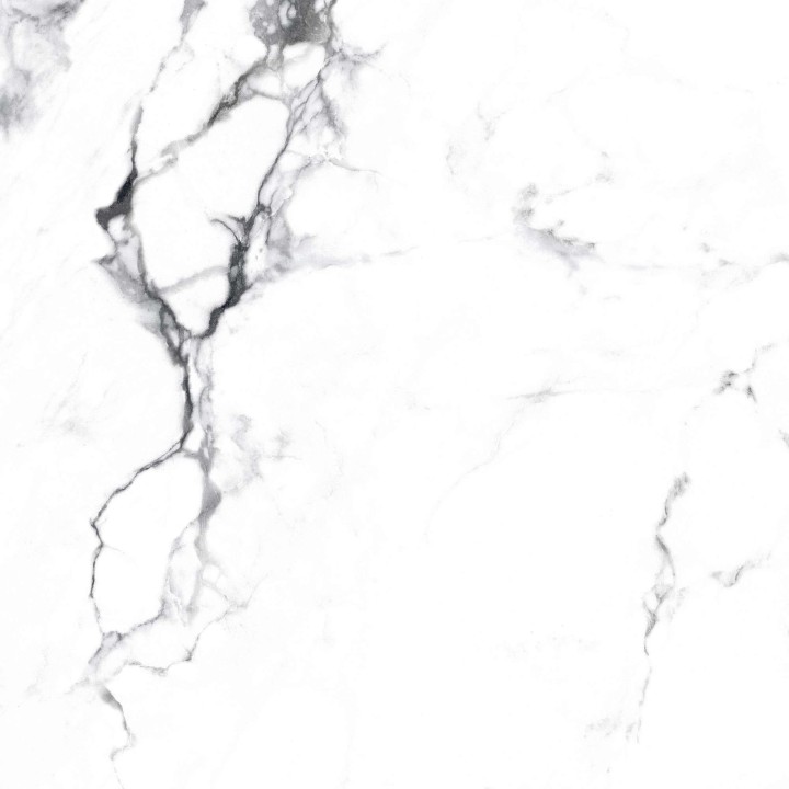 Карвинг Arcadia Ceramica BORGHINI SILVER 60х60 — фото 13