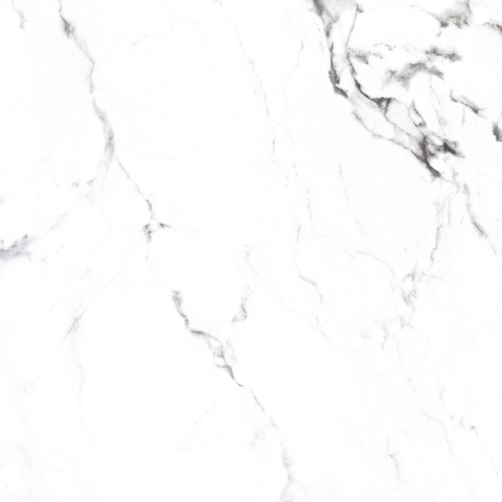 Карвинг Arcadia Ceramica BORGHINI SILVER 60х60 — фото 15