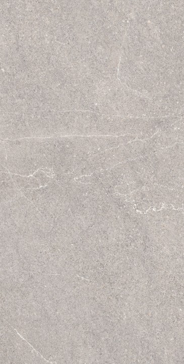 Arcadia Ceramica Керамогранит RG6001-A Equistone Gris 60х120 Rg серый матовый / рельефный под бетон — фото 2