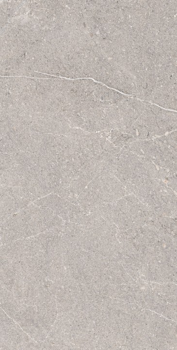 Arcadia Ceramica Керамогранит RG6001-A Equistone Gris 60х120 Rg серый матовый / рельефный под бетон — фото 4