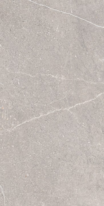 Arcadia Ceramica Керамогранит RG6001-A Equistone Gris 60х120 Rg серый матовый / рельефный под бетон — фото 5