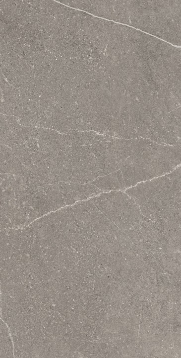 Arcadia Ceramica Керамогранит RG6002-A Equistone Graphite 60х120 Rg серый матовый / рельефный под бетон — фото 2
