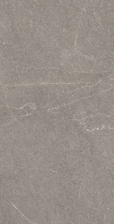 Arcadia Ceramica Керамогранит RG6002-A Equistone Graphite 60х120 Rg серый матовый / рельефный под бетон — фото 3
