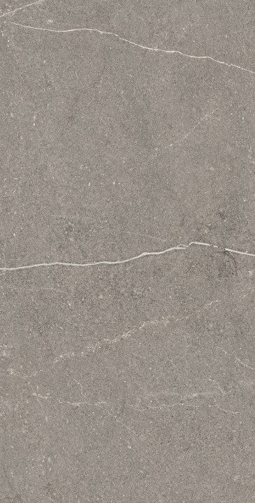 Arcadia Ceramica Керамогранит RG6002-A Equistone Graphite 60х120 Rg серый матовый / рельефный под бетон — фото 4