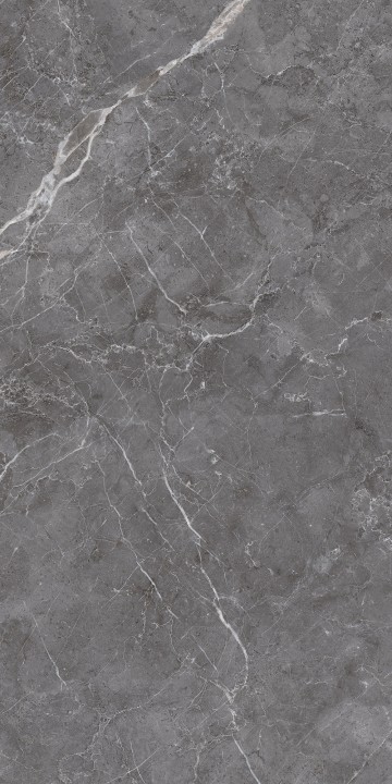 Лаппатированный Arcadia Ceramica ESPERIA GRIGIO LAPPATO 60х120 — фото 2