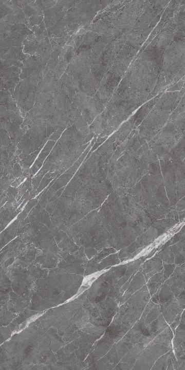 Лаппатированный Arcadia Ceramica ESPERIA GRIGIO LAPPATO 60х120 — фото 6