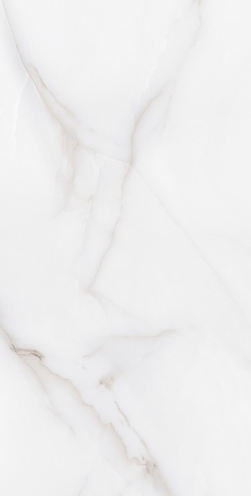 Матовый Arcadia Ceramica FEATHER ONYX 60х120 — фото 4