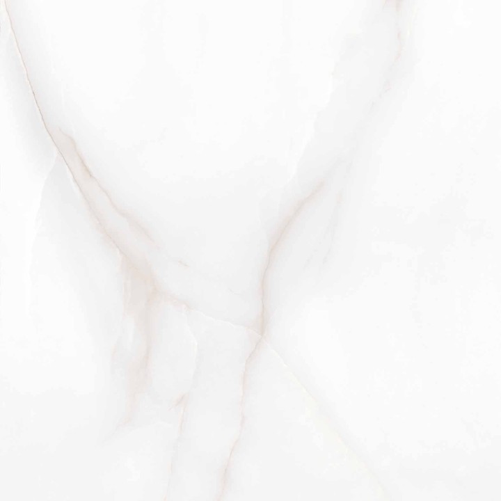 Матовый Arcadia Ceramica FEATHER ONYX 60х60 — фото 4