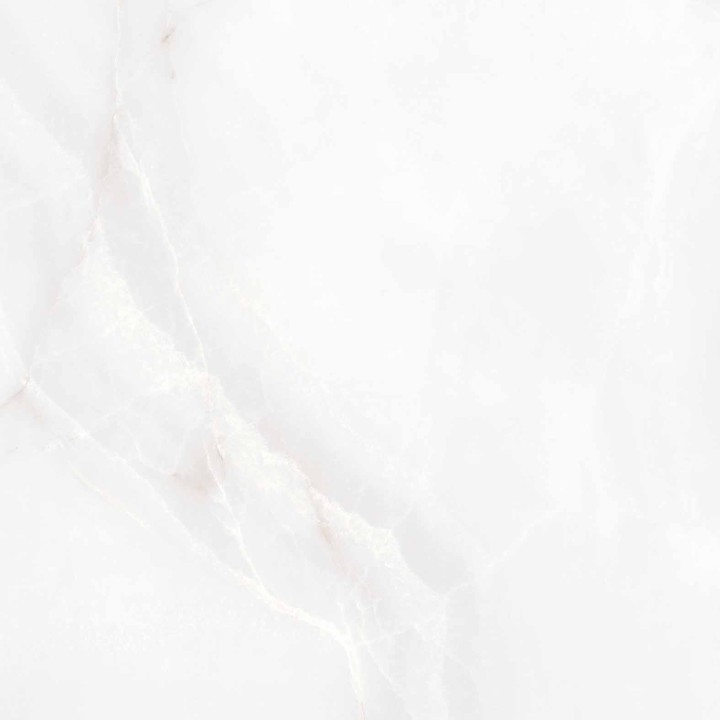 Матовый Arcadia Ceramica FEATHER ONYX 60х60 — фото 10