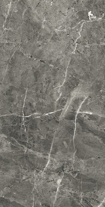 Полированный Arcadia Ceramica FLORENCIA GREY 60х120 — фото 2