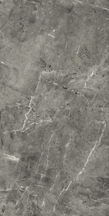 Полированный Arcadia Ceramica FLORENCIA GREY 60х120 — фото 4
