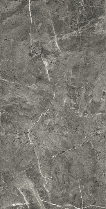 Полированный Arcadia Ceramica FLORENCIA GREY 60х120 — фото 5