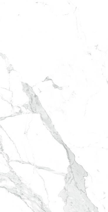 Arcadia Ceramica Керамогранит CR4003-A Paradise Statuario 60х120 белый матовый под мрамор, 4 принта — фото 3