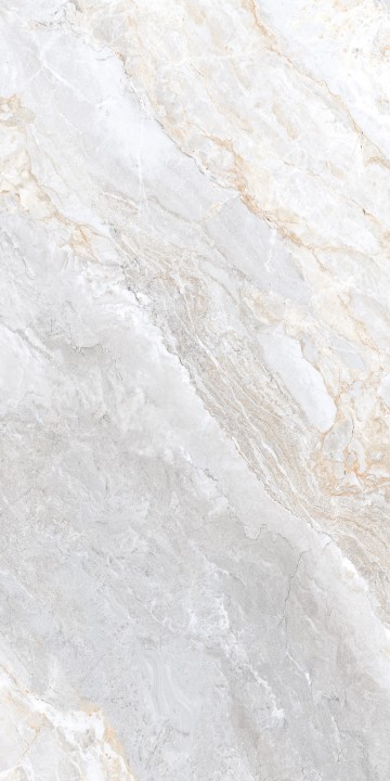 Лаппатированный Arcadia Ceramica TRIVOLA BIANCO LAPPATO 60х120 — фото 3