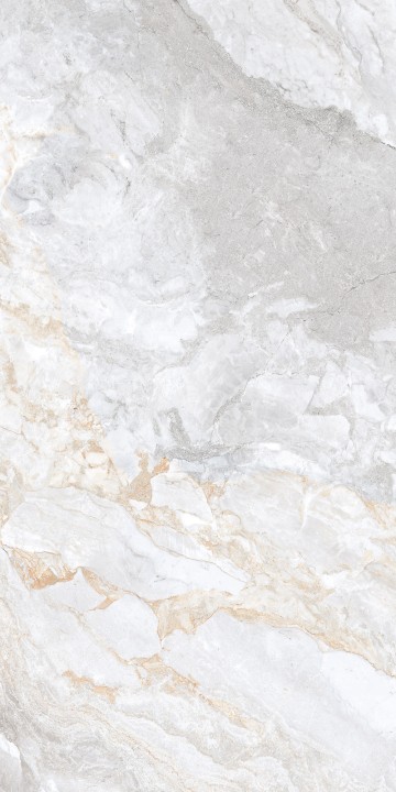 Лаппатированный Arcadia Ceramica TRIVOLA BIANCO LAPPATO 60х120 — фото 4
