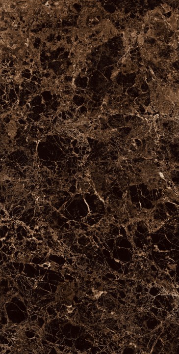 Полированный Arcadia Ceramica VATICAN EMPERADOR 60х120 — фото 4
