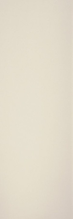 Archskin Керамогранит  3000х1000х3.5 Arch Skin Color матовый