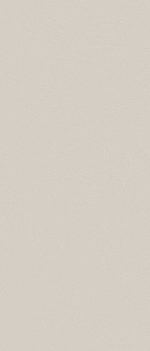 Archskin Керамогранит  2800х1200х6 Arch Skin Color матовый
