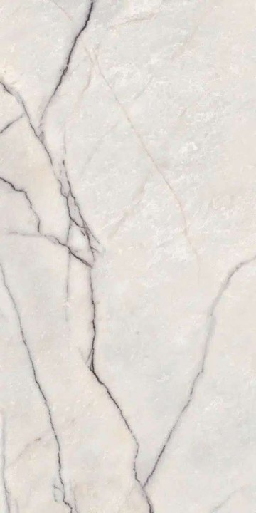 Лаппатированный Ariana Керамогранит EPOQUE 21 LILAC WHITE LAPP. 3D R60X120 — фото 11