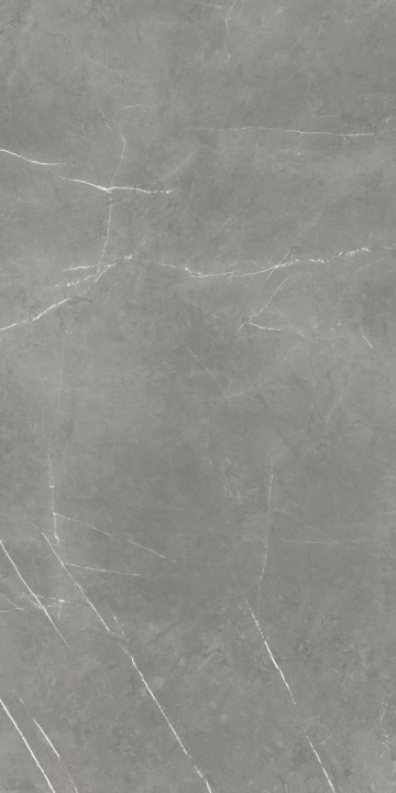 Матовый Atlas Concorde Russia Керамогранит Forte dei Marmi Elegant Grey Rett Cer 60x120 сатинированный