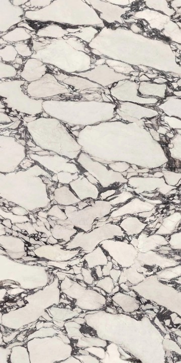 Полированный Atlas Concorde Marvel Epic Керамогранит HCLZ Calacatta Viola Polished 6mm 160х320 — фото 3