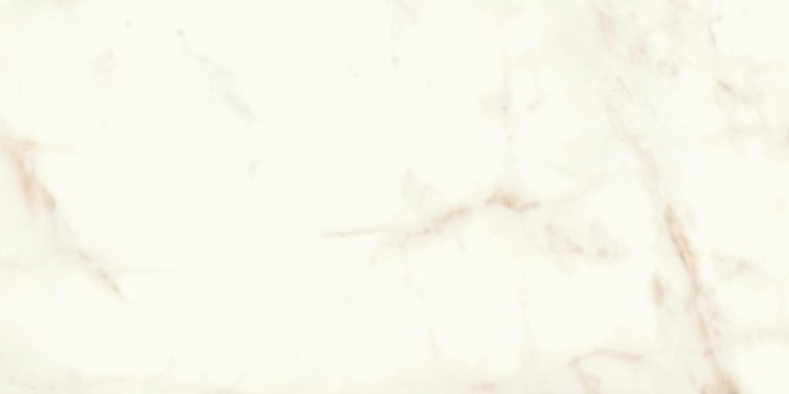 Матовый Atlas Concorde Marvel Shine Marvel Calacatta Delicato 60x120 Matt — фото 5